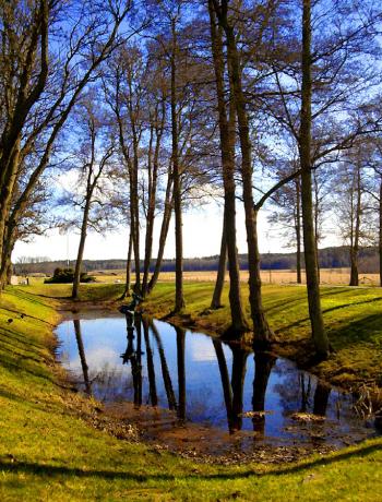 Landscape with water
